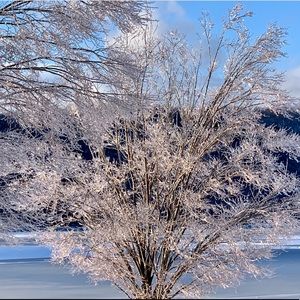 Meet your Posher, I.